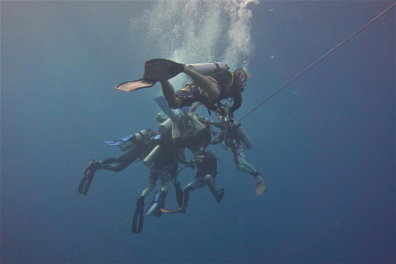 The Shark'S Tail Dive Resort Logon Εξωτερικό φωτογραφία