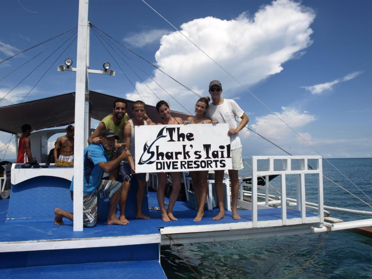 The Shark'S Tail Dive Resort Logon Εξωτερικό φωτογραφία